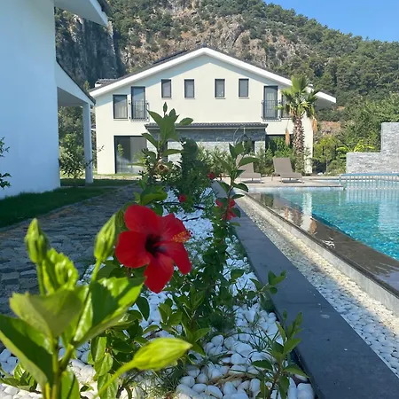 My Villa Ortaca (Mugla)